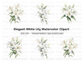 Elegant White Lily Flower Clipart Bundle