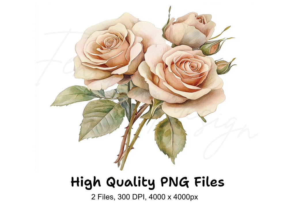 Elegant Cream Roses Clipart Bundle