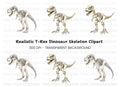 Rex Dinosaur Skeleton Clipart Bundle