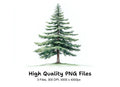 Pine Tree Clipart Bundle