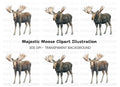Majestic Moose Clipart Bundle