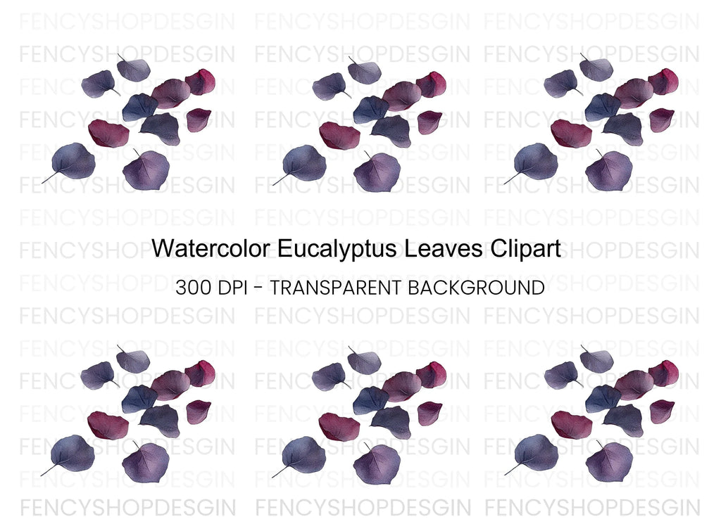 Eucalyptus Leaves Clipart Bundle
