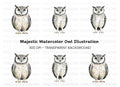 Cute Owl Clipart Bundle
