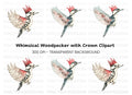 Woodpecker King Red Crown Clipart Bundle