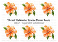 Vibrant Orange Blossom Clipart Bundle