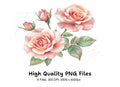 Blush Pink Rose Clipart Bundle