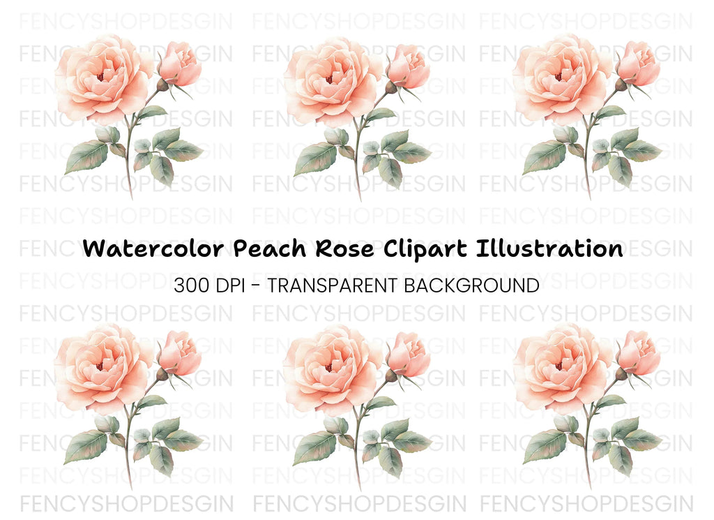 Elegant Peach Rose Illustration Clipart Bundle
