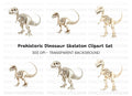 Dinosaur Skeleton Clipart Bundle