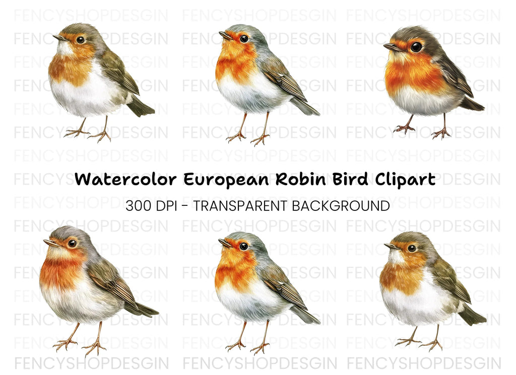Cute Robin Bird Clipart Bundle
