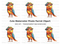 Cute Pirate Parrot Illustration Clipart Bundle
