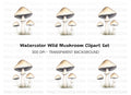 Forest Mushroom Clipart Bundle