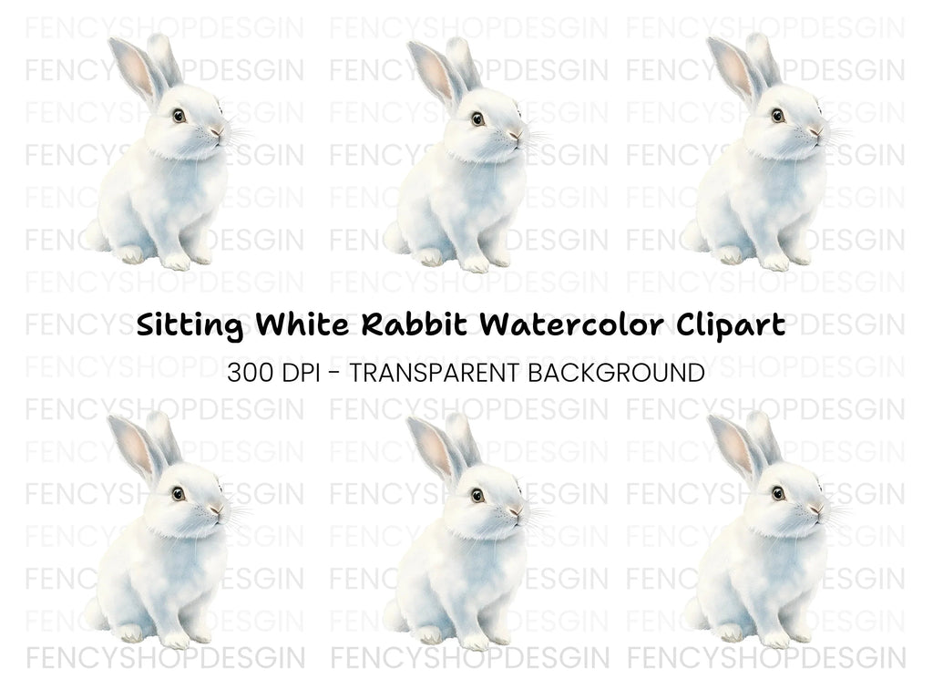 Realistic White Rabbit Clipart Bundle