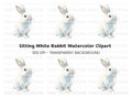 Realistic White Rabbit Clipart Bundle
