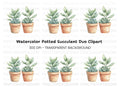 Cute Potted Succulent Duo Clipart Bundle