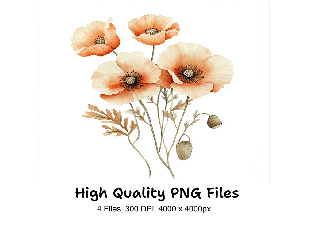 Poppy Clipart Bundle