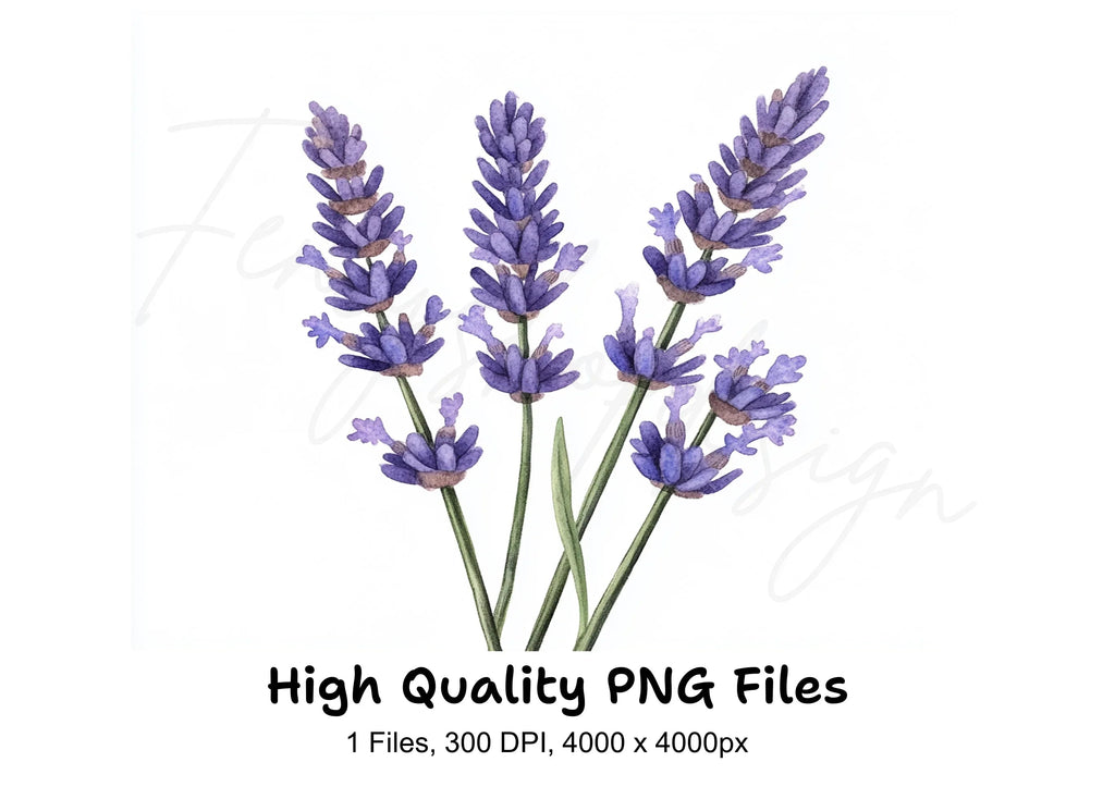 Beautiful Lavender Sprigs Clipart Bundle