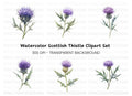 Scottish Thistle Flower Clipart Bundle