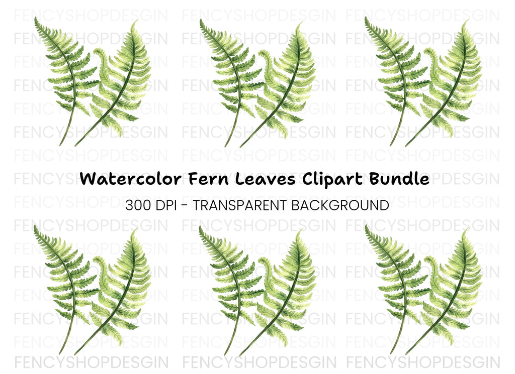 Fern Leaves Clipart Bundle