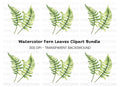 Fern Leaves Clipart Bundle