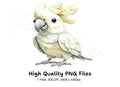 Cute White Cockatoo Clipart Bundle