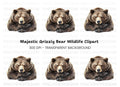 Grizzly Bear Majestic Brown Clipart Bundle