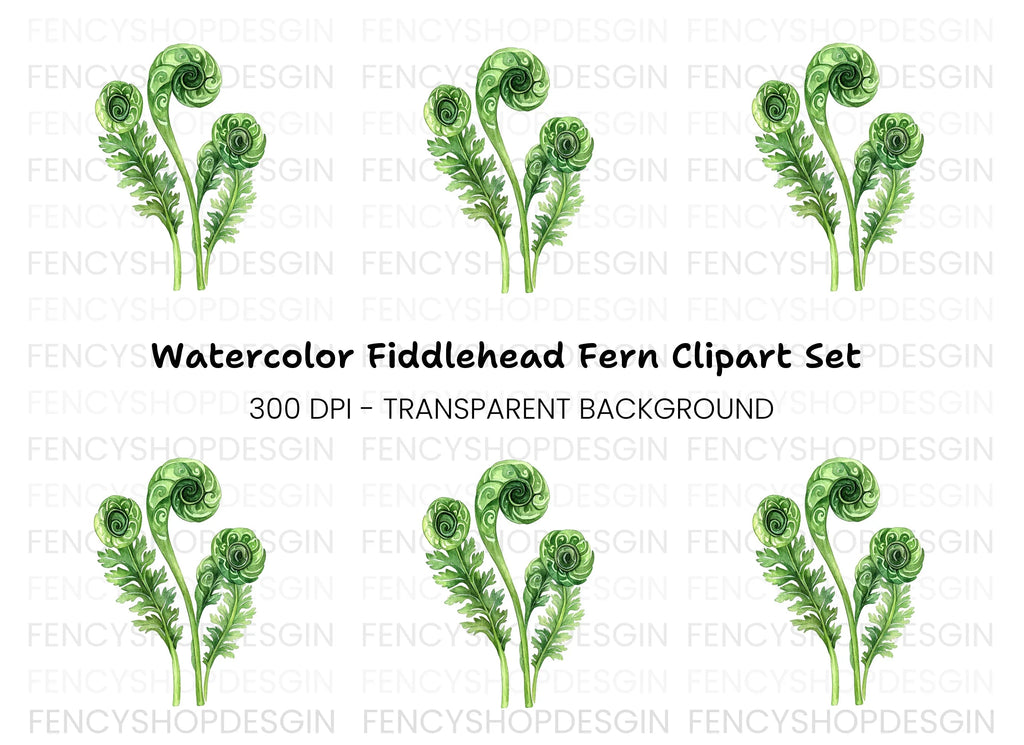Fiddlehead Ferns Clipart Bundle