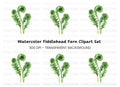Fiddlehead Ferns Clipart Bundle