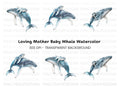 Mother and Baby Humpback Whale Clipart Bundle