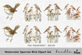 Sparrow Bird Clipart Bundle