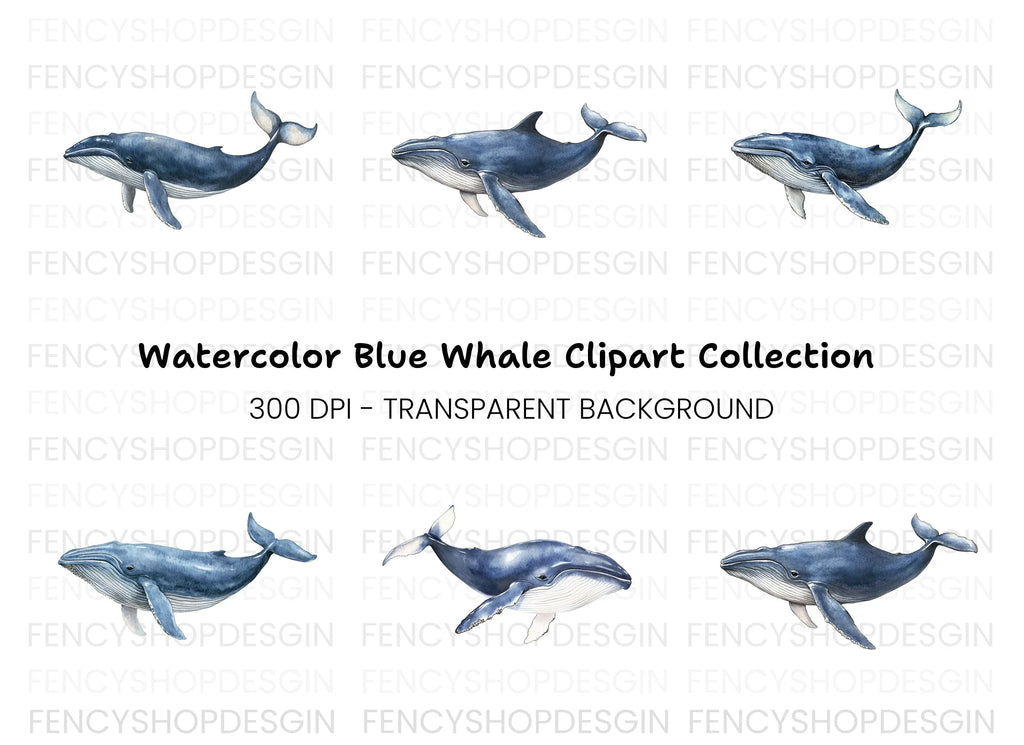 Blue Whales Clipart Bundle