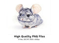 Chinchilla Clipart Bundle