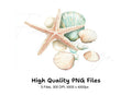 Seashells Starfish Clipart Bundle