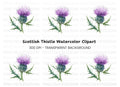 Scottish Thistle Flower Clipart Bundle