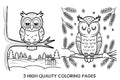 Cute Winter Owl Coloring Books