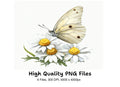 Elegant White Butterfly Daisy Clipart Bundle