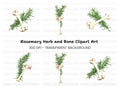 Rosemary and Bone Clipart Bundle