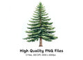 Realistic Pine Tree Clipart Bundle
