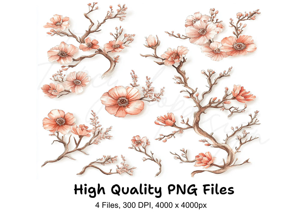 Peach Blossom Clipart Bundle