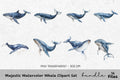Majestic Whale Clipart Bundle