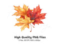 Autumn Leaves Clipart Bundle