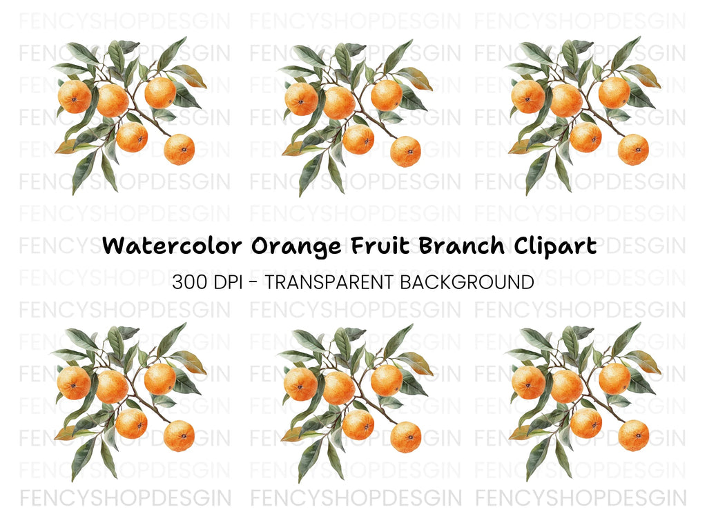 Orange Fruit Branch Clipart Bundle
