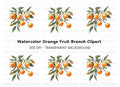 Orange Fruit Branch Clipart Bundle