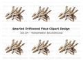 Driftwood Clipart Bundle