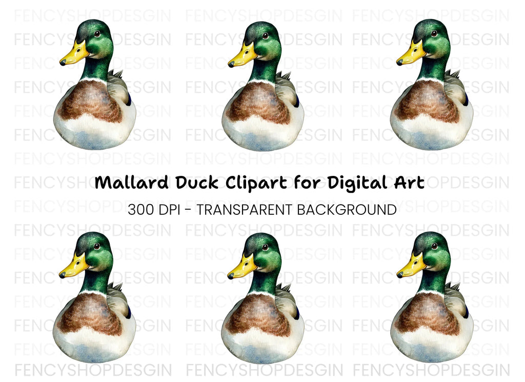 Front View Mallard Duck Clipart Bundle