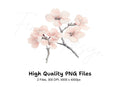 Delicate Cherry Blossom Clipart Bundle
