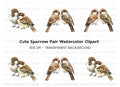 Cute Sparrow Pairs Clipart Bundle