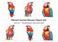 Vibrant Macaw Parrot Clipart Bundle