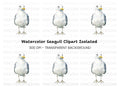 Seagull Illustration Clipart Bundle