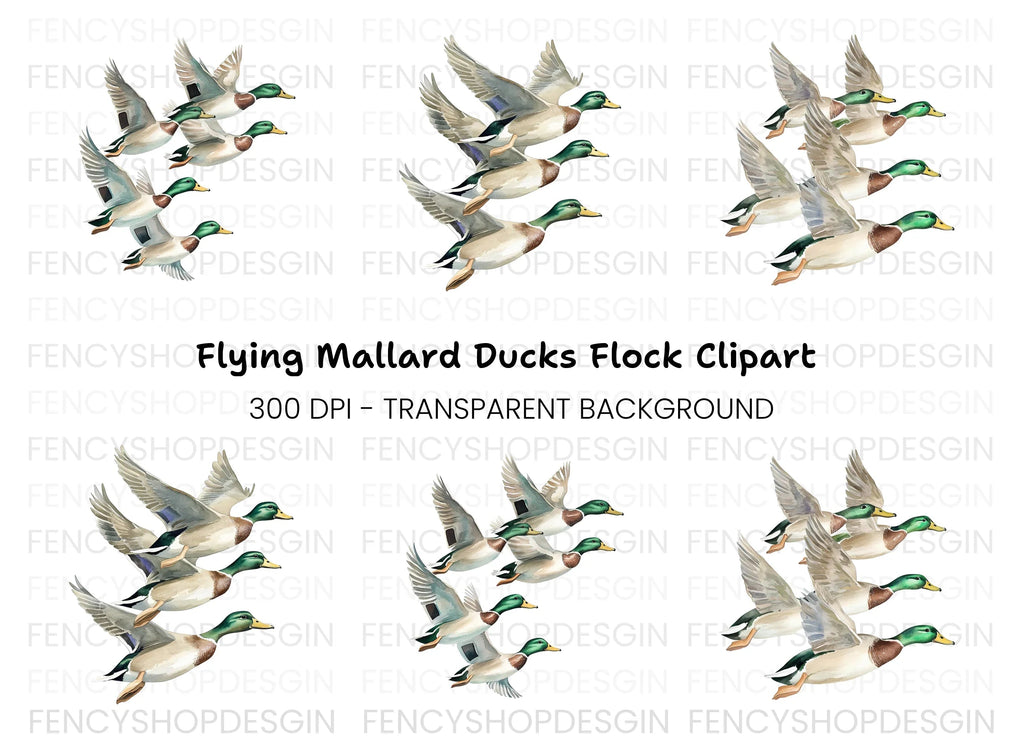 Flying Mallard Ducks Clipart Bundle