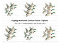Flying Mallard Ducks Clipart Bundle